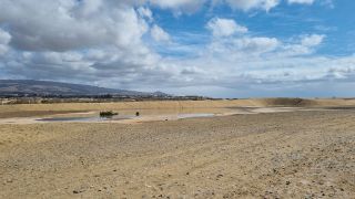 GC-Playa de Maspalomas 2026-151.jpg